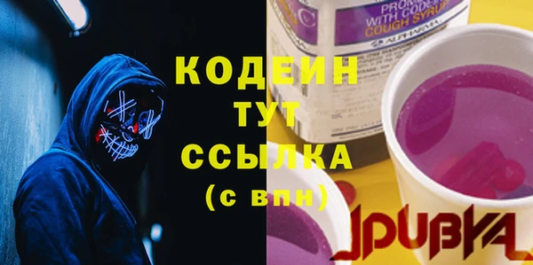 дмт Лагань