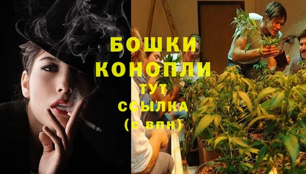 дмт Лагань