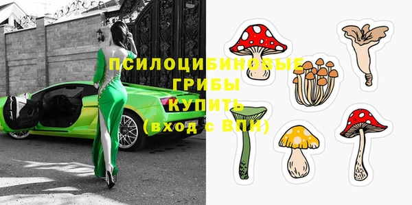 дмт Лагань