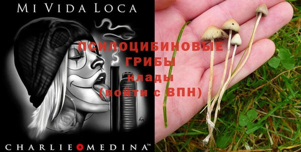дмт Лагань