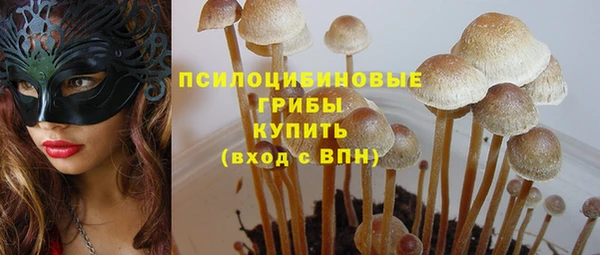 эйфоретик Заводоуковск